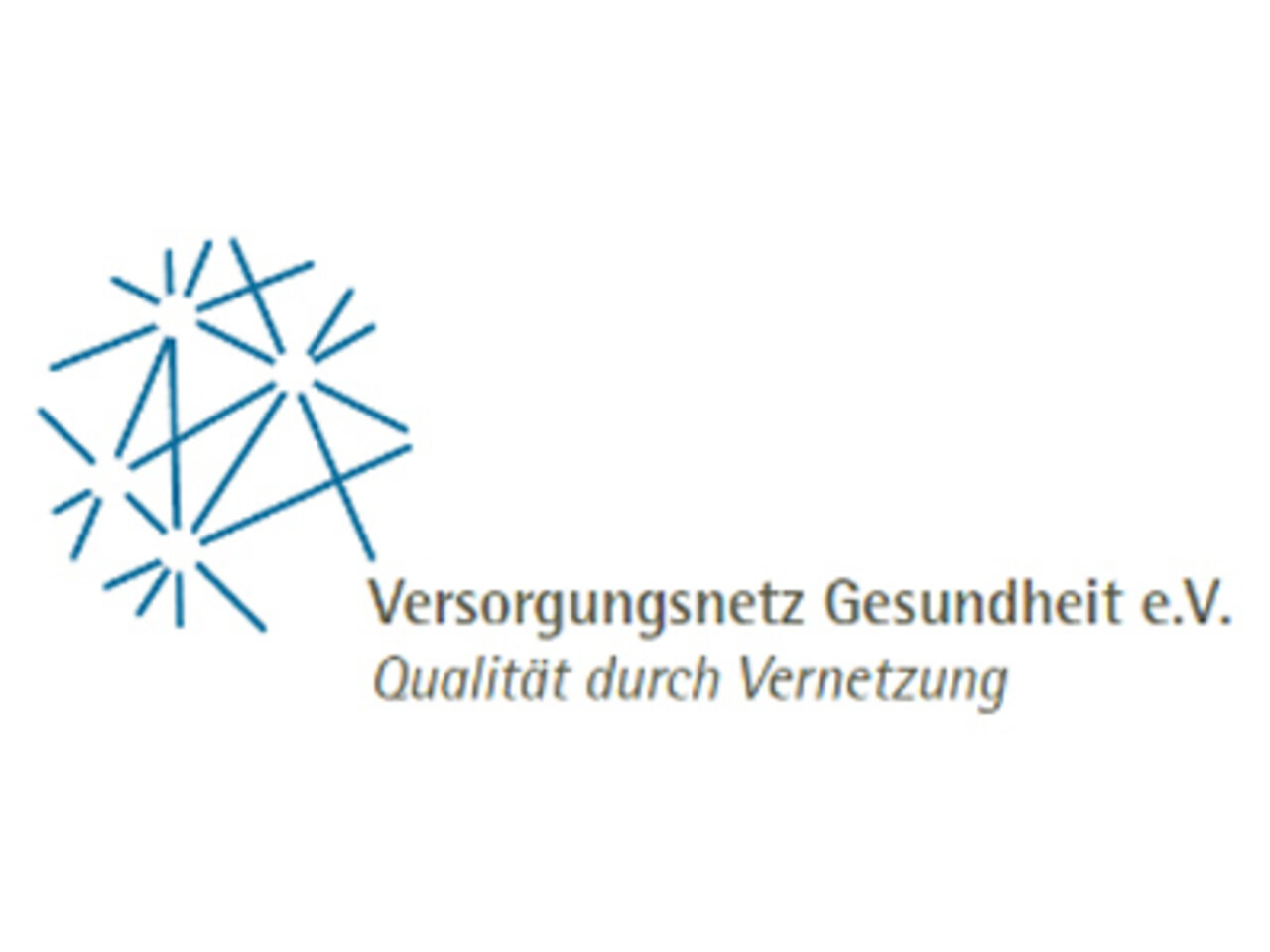 Logo_Versorgungsnetz